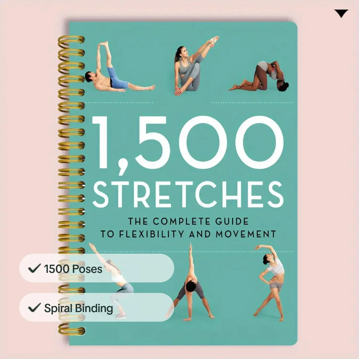 Yoga Postures & Breathing Tech - Yoga Fitness Journal recension och pris